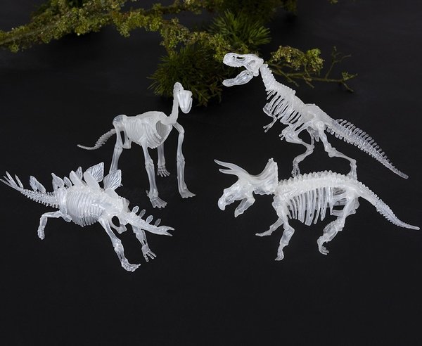 Bastel-Set Dinosaurier-Skelett