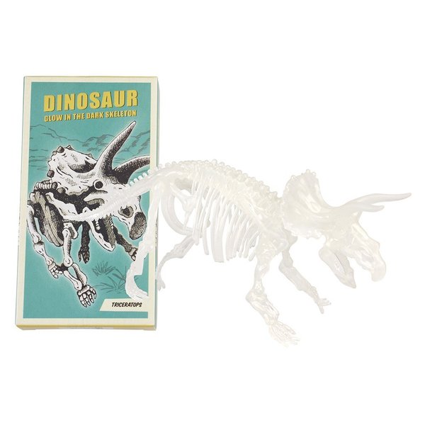 Bastel-Set Dinosaurier-Skelett